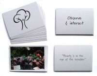 Permaculture Ethics and Deisgn Principles Teaching Kit - Card Set