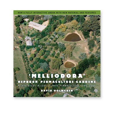 Melliodora: case study - eBook