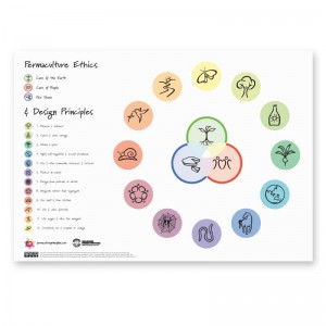 Permaculture Design Principles Poster