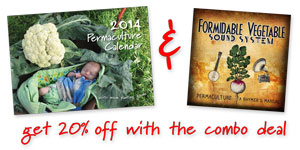Combo Deal