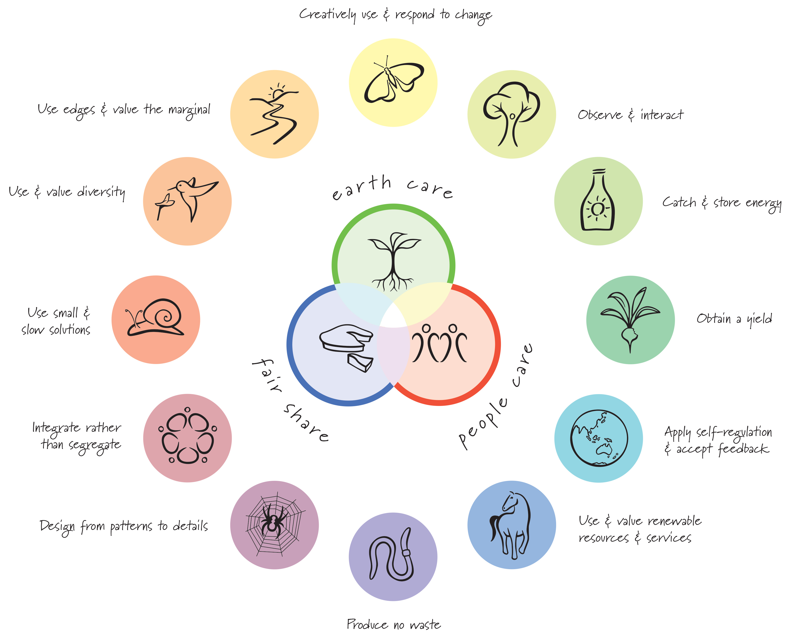 read dynamics of the standard model