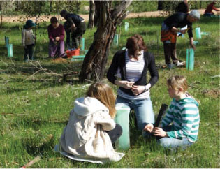 Grupo de personas que plantan árboles en Commonground