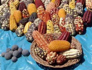 Diverses variétés de maïs sur le marché d'Ollantaytambo au Pérou