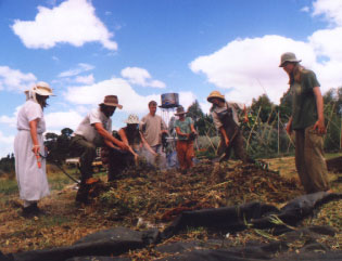 Um grupo de pessoas preparando composto na comunidade de Carters Road