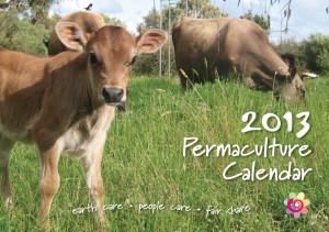 2013_Pc_Calendar_Cover_HR