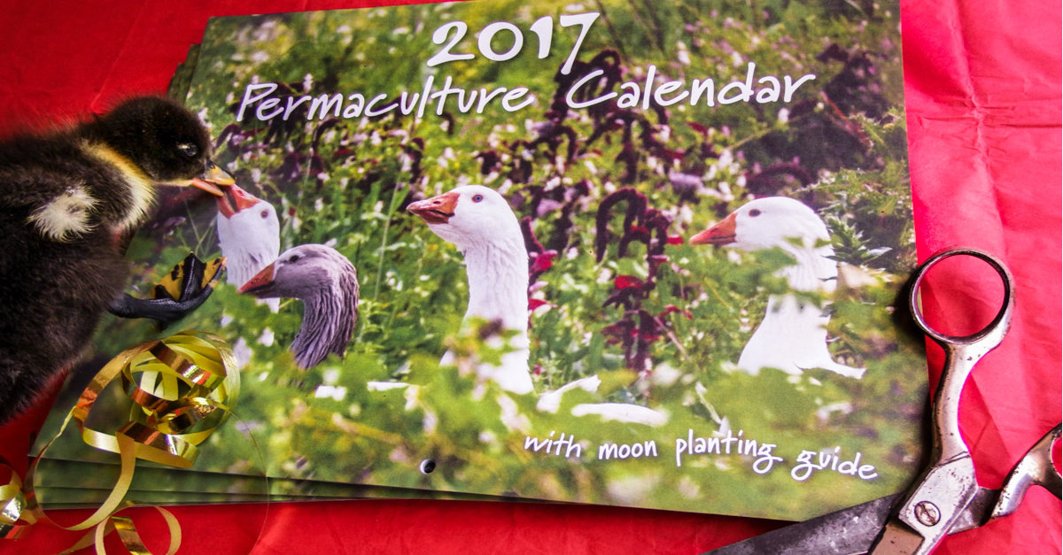 2017 Permaculture Calendar with moon planting guide