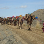 Principle 11: Use edges & value the marginal - Nomadic living in a harsh environment (Pakistan)