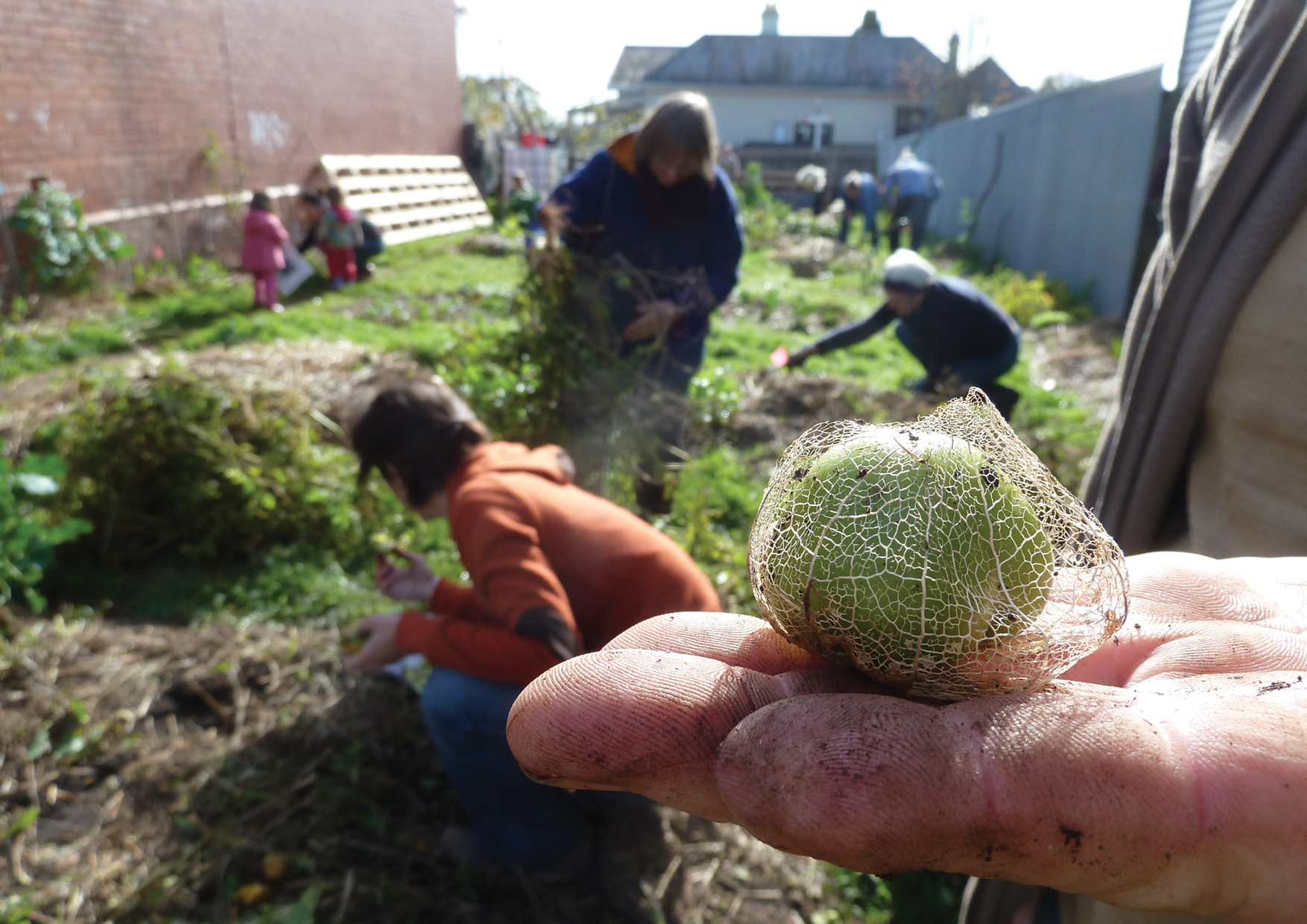 Principle 12: Creatively use and respond to change - Changing the climate around Daylesford