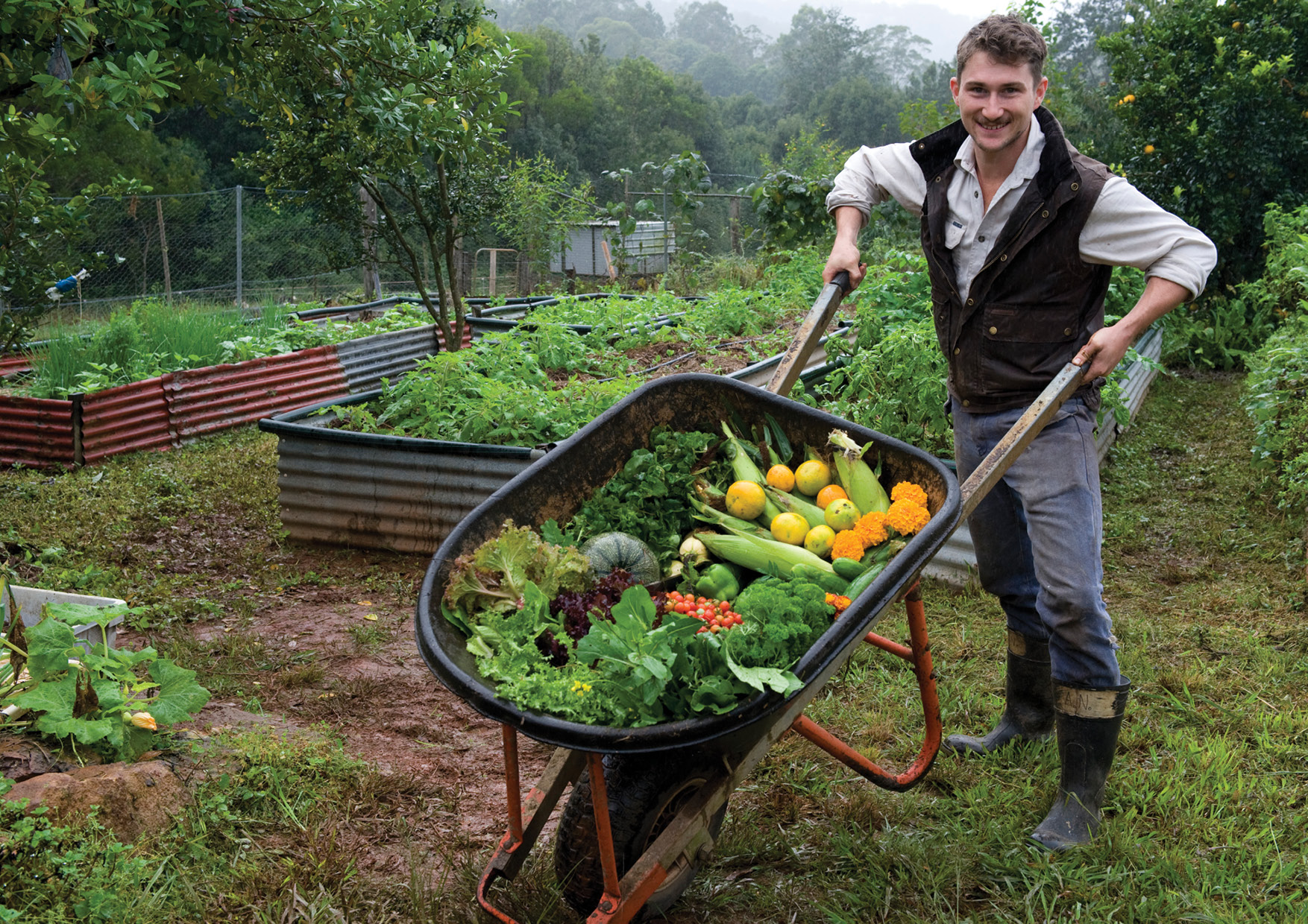 Principle 3: Obtain a yield - A barrow full of goodies (NSW, Australia)