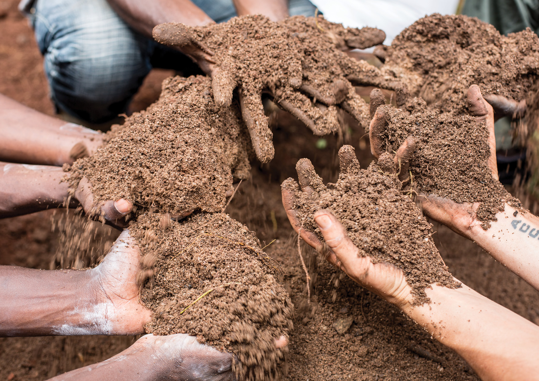 renewable resources soil