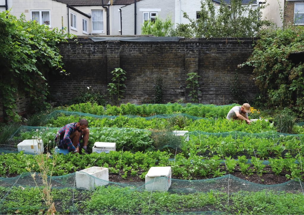 2017 Permaculture Design Principle 3