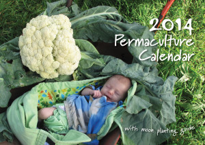 The 2014 Permaculture Calendar Includes daily icons and moon phase times to guide your planting.