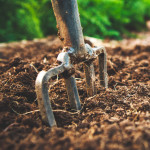 Tune your fork - Photo by Michael Conlin