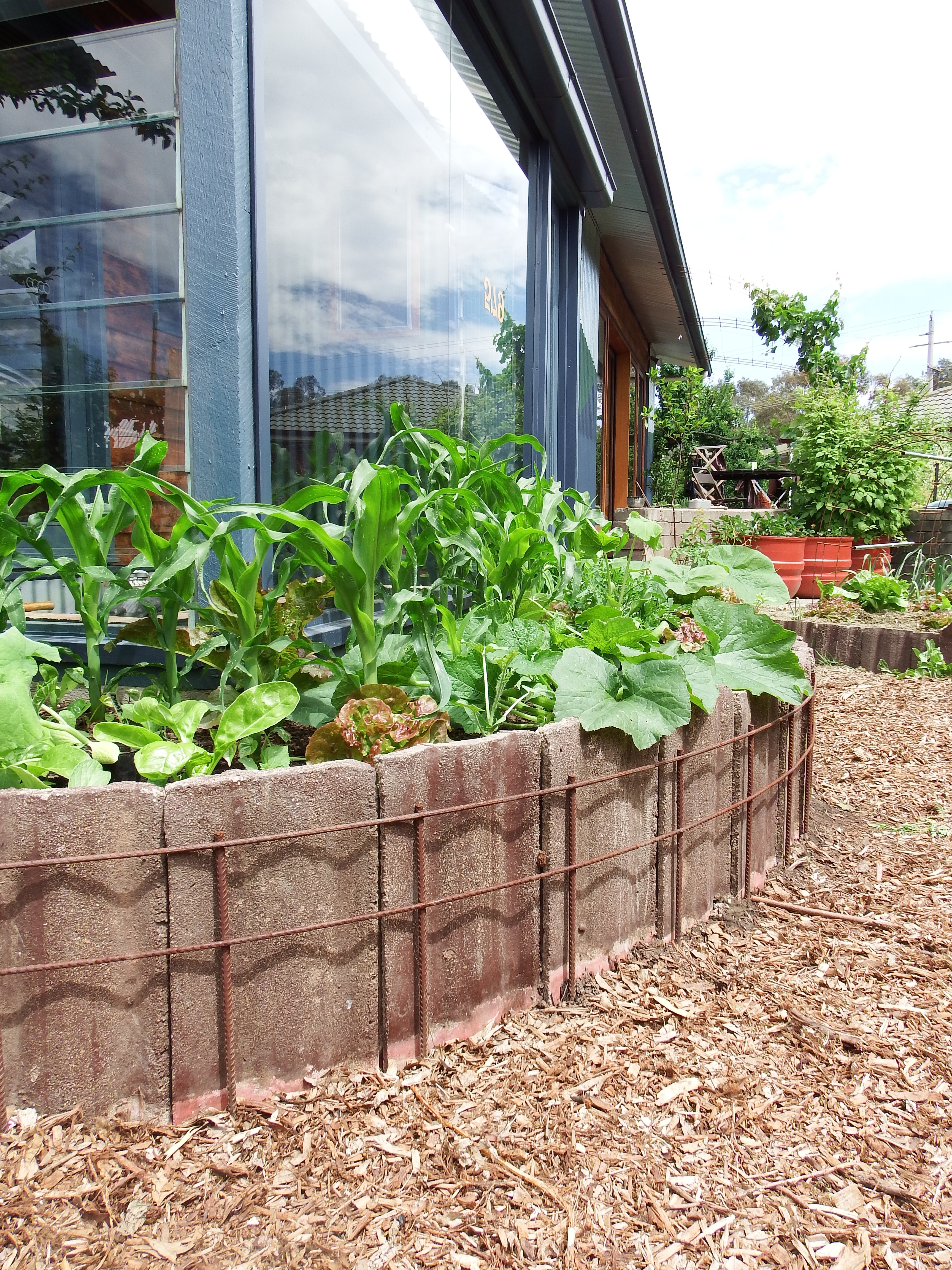 How to Make a New Raised Bed Garden Step-by-Step