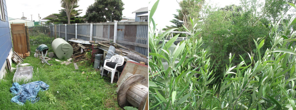 Before and after shots of the food forest as it develops