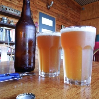 There’s nothing quite like homebrew beer Why not make your own beer? It makes cents, and is a welcome relief after a stint in the garden.
