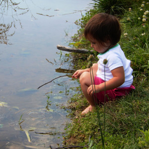 Observing and interacting with tadpoles