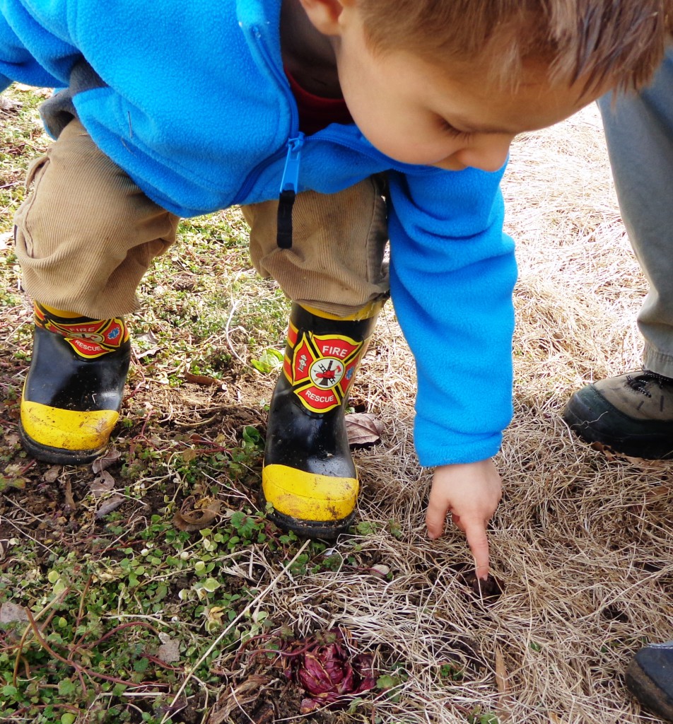 Allowing the space for children to explore and ask questions