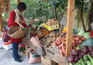 Principle 12: Creatively use and respond to change - Choosing to eat fresh and local ingredients