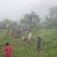 From Permaculture in Timor to the tropical world Swales and A-Frame