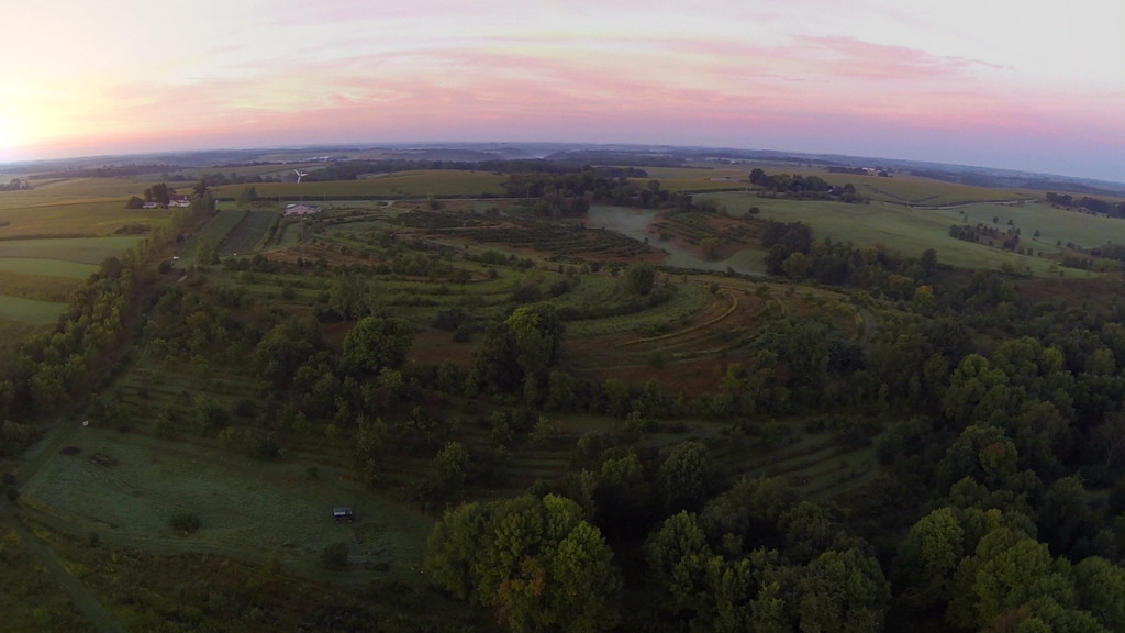 INHABIT - New Forest Farm