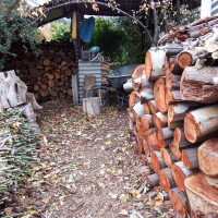 Cooking & heating cleanly with wood ergte
