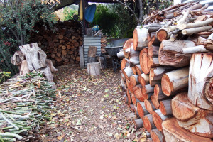 Cooking & heating cleanly with wood ergte