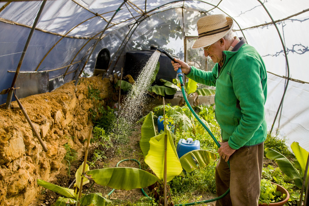 Juan Anton watering plants in his home made greenhouse