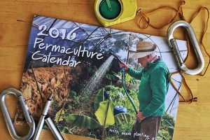 “Yes, it’s that time of year again” Illustration of a Tokyo urban garden in the Permaculture Calendar 2015.