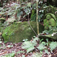 The Sensitive Permaculturist Cultures, the world over, have made offerings to the spirit world for protection and to give thanks