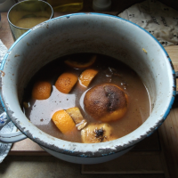 The Constant Composter Composting scraps