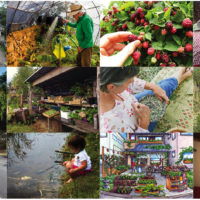 Feature your project in the Permaculture Calendar 2016 Calendar image collection