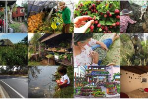 Feature your project in the Permaculture Calendar 2016 Calendar image collection