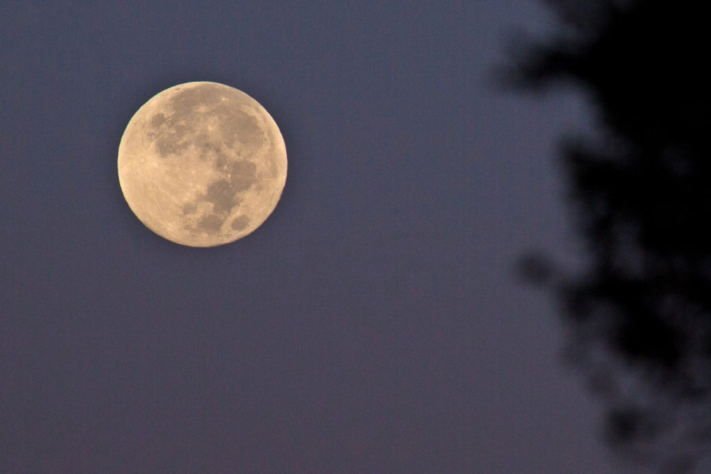 Does the Moon Actually Affect Our Behavior?