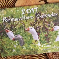 Our permaculture journey in images 2017 Permaculture Calendar