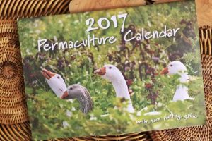 Our permaculture journey in images 2017 Permaculture Calendar