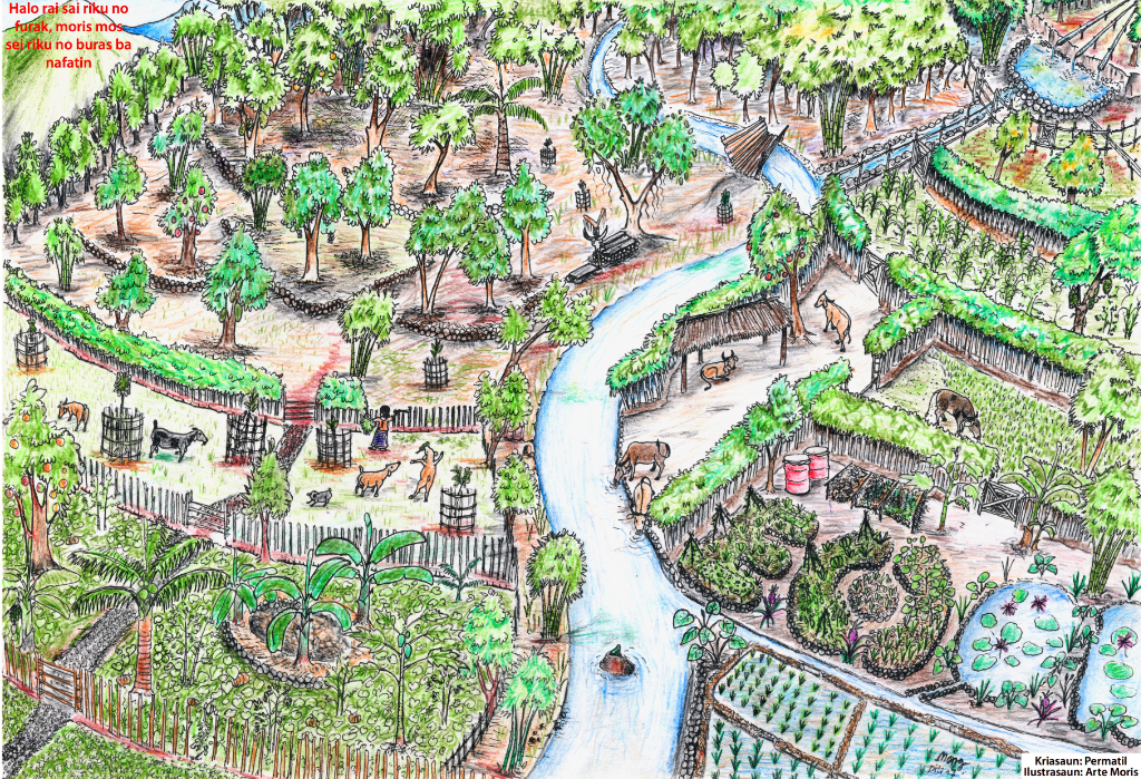 tropical-permaculture-illustration