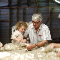 Broadscale Permaculture at Millpost Farm MillpostDadnEvenWool