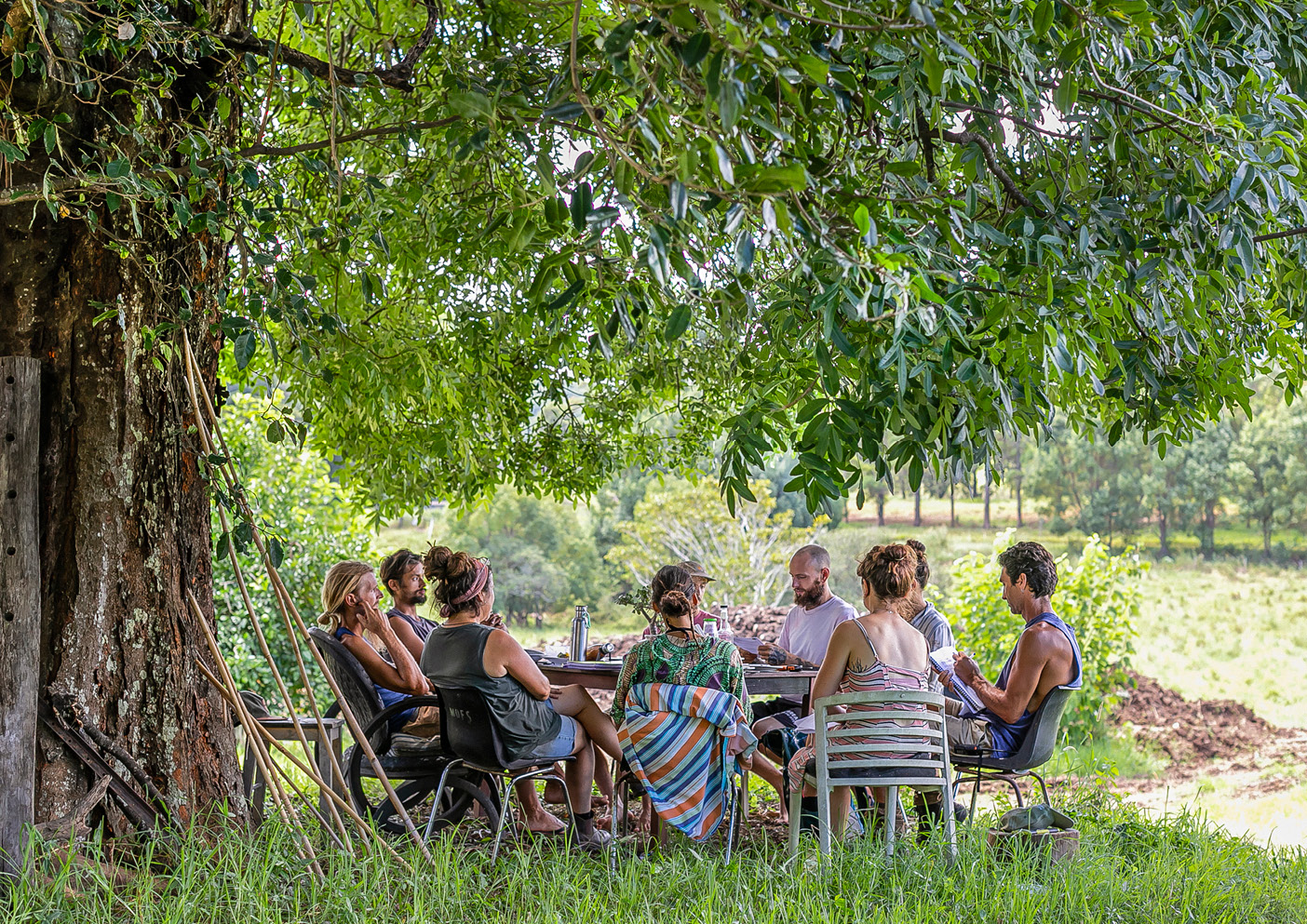 2022 Permaculture Calendar Principle 5